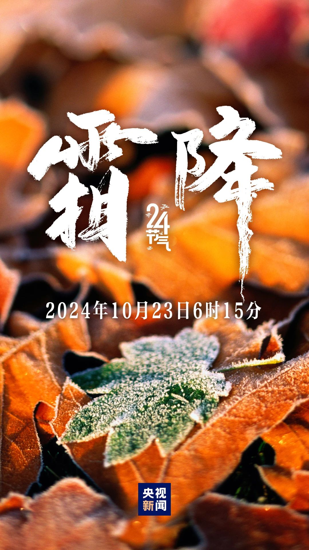 秋季最后一個節氣，來了